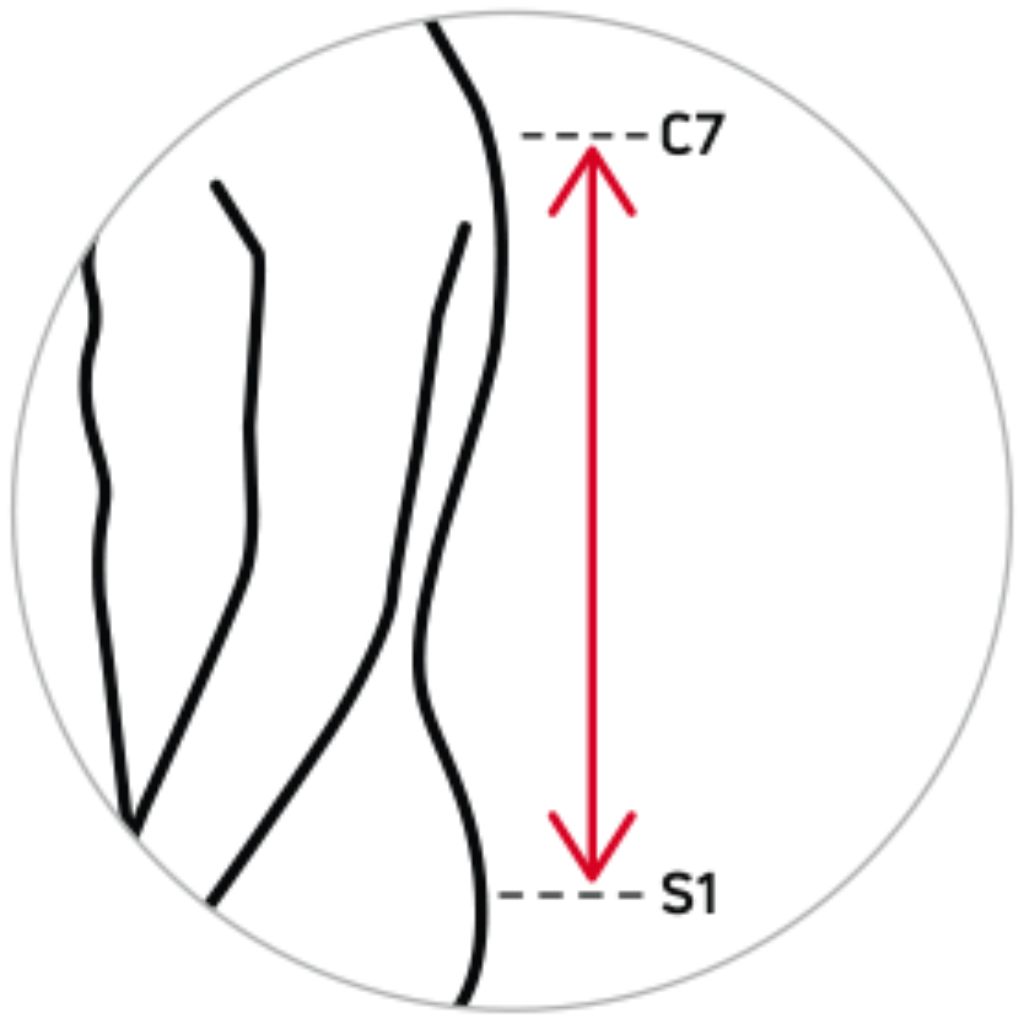 Messpunkt für Rückenlänge der DONJOY OsteoStrap