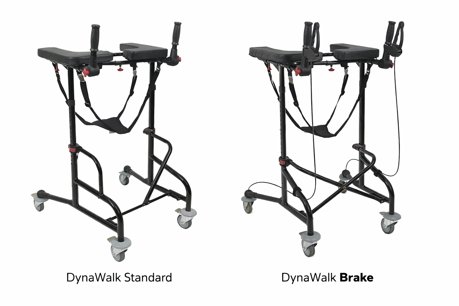 DynaWalk Modellvergleich