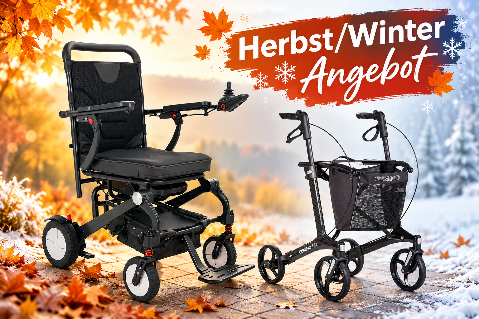 Kombiangebot Carbon Rollstuhl + Rollator